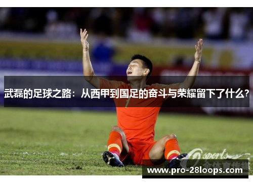 武磊的足球之路:从西甲到国足的奋斗与荣耀留下了什么? 武磊的足球之路:从西甲到国足的奋斗与荣耀留下了什么?