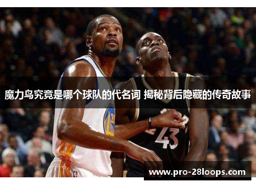 魔力鸟究竟是哪个球队的代名词 揭秘背后隐藏的传奇故事